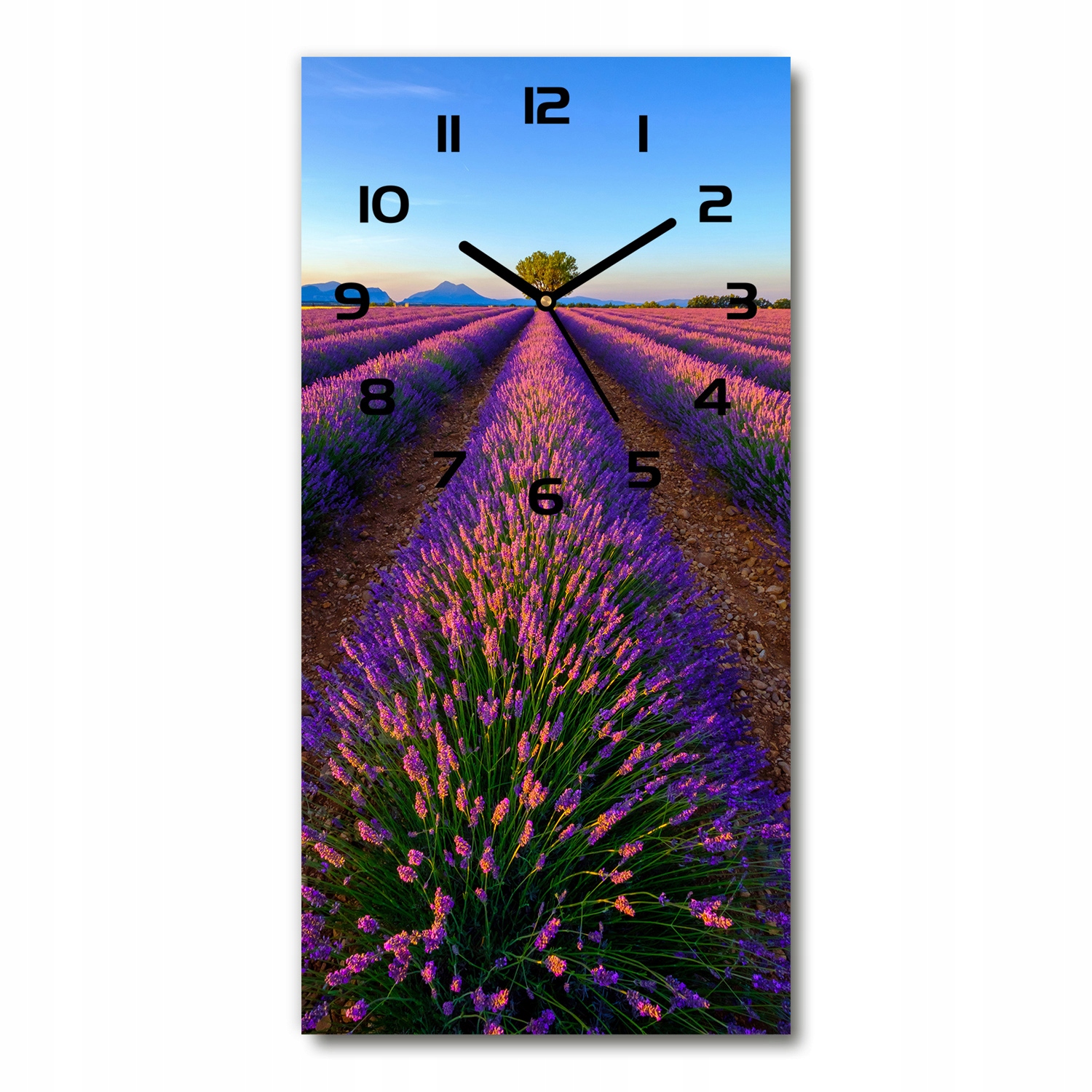 

Cichy pionowy zegar na ścianę Pole lawendy 30x60cm