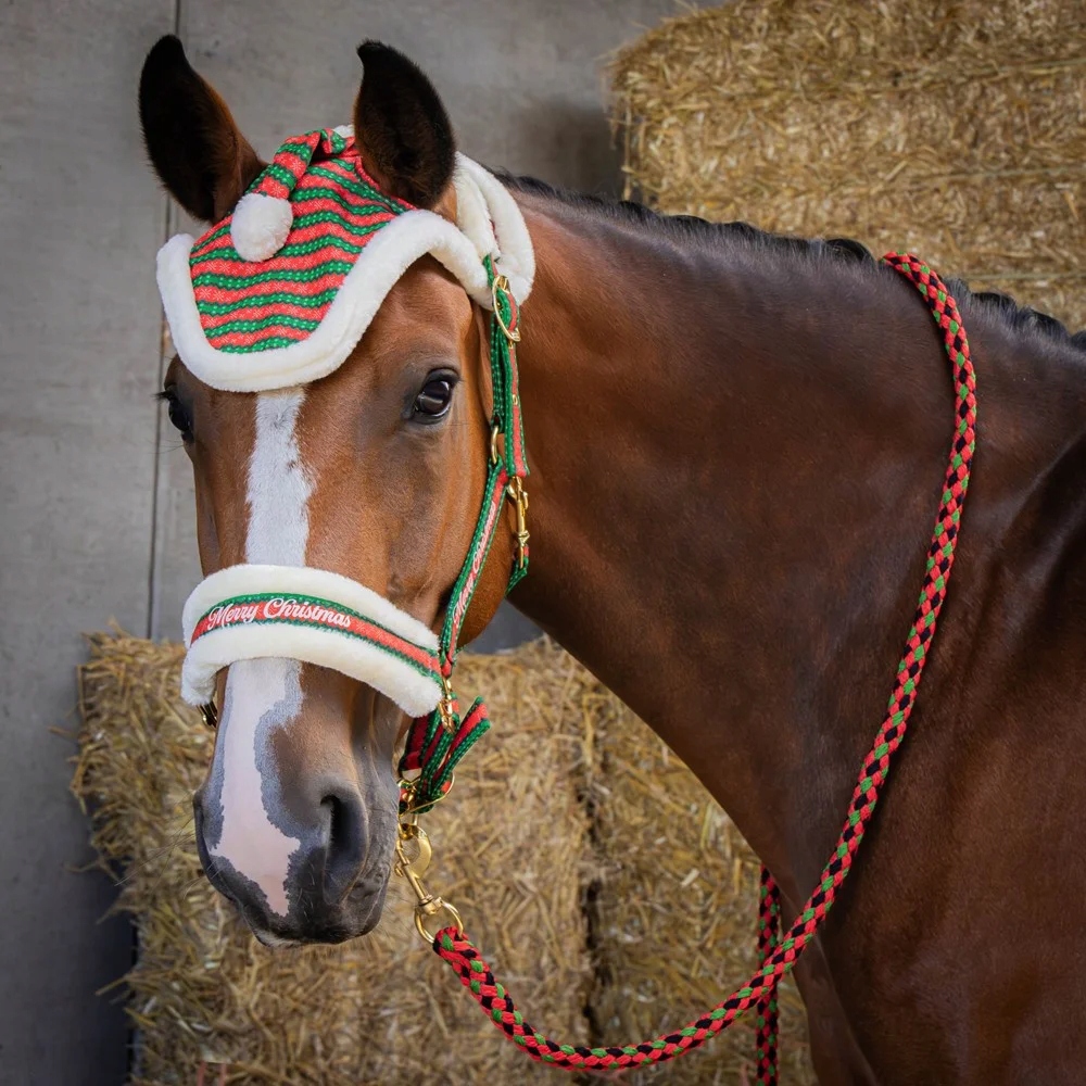 Uzda s vázáním a náušníky pro poníka Hh Vánoční Pony
