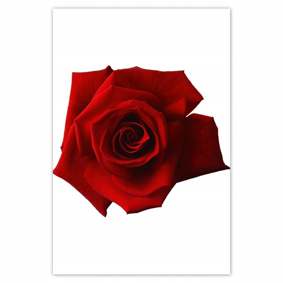 

Plakat 62x93 Dzień Kobiet Prezent Love