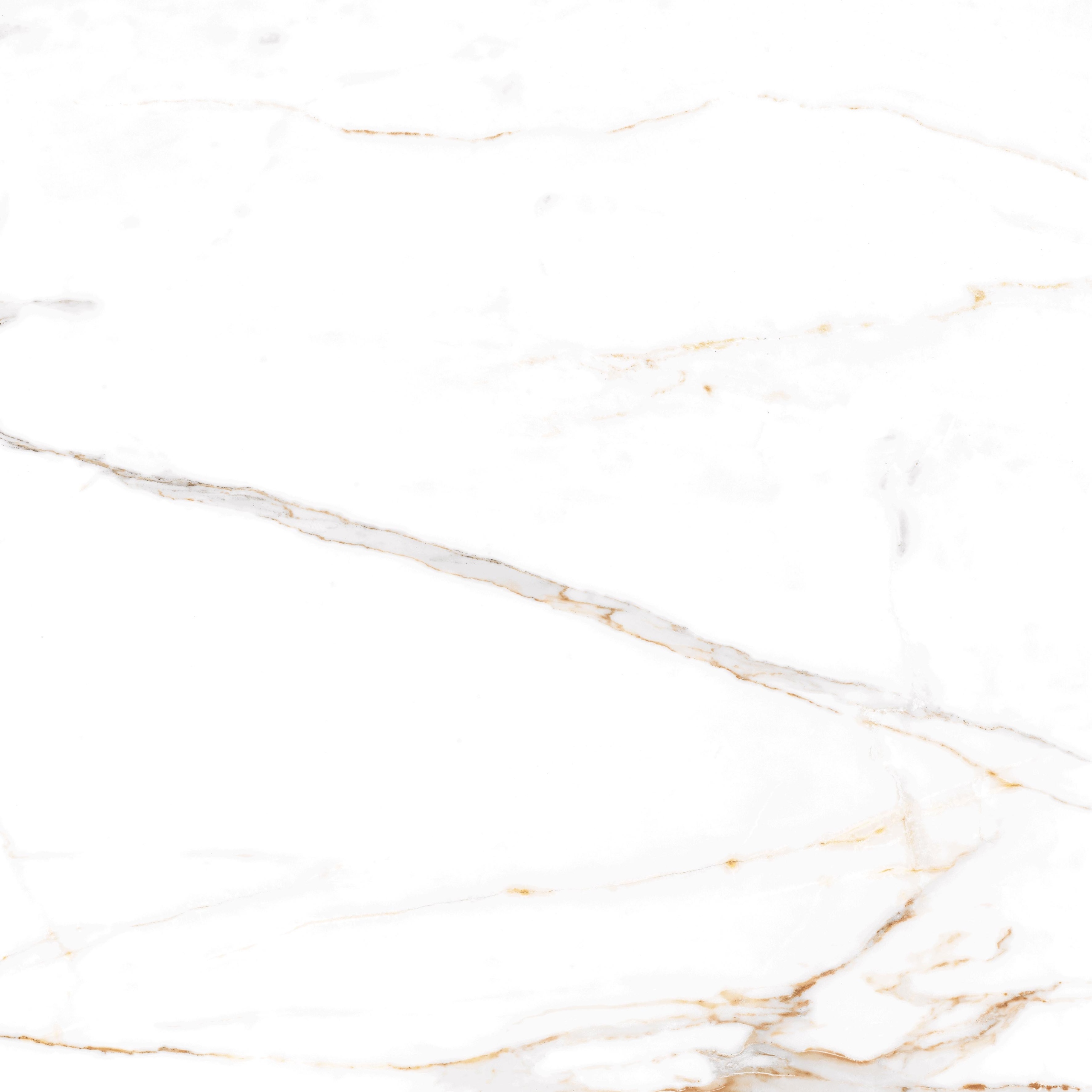 Płytki Regal Carrara gres marmur EGEN 60x60 SUGAR Szerokość produktu 60 cm