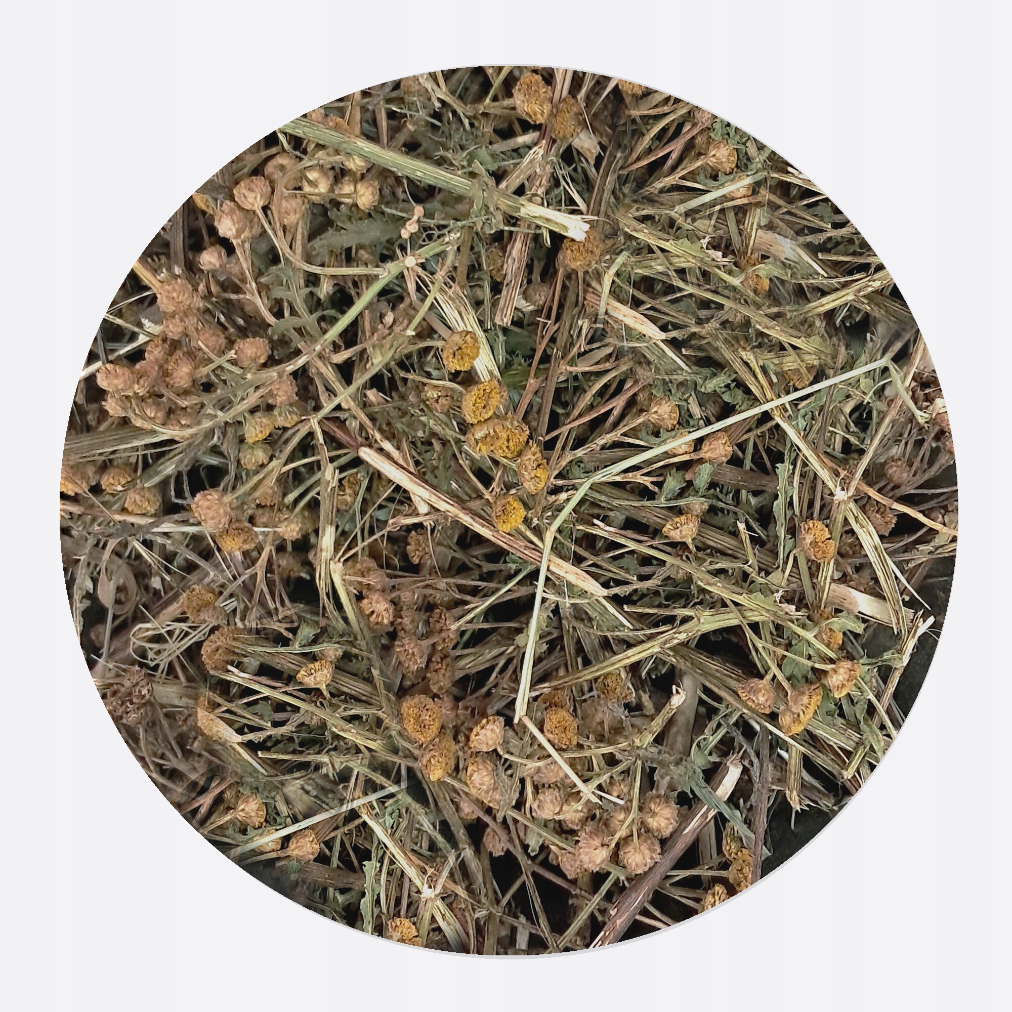 Levně Vratič celá bylina vilínu s květem, sušená k zpracování, 250 g