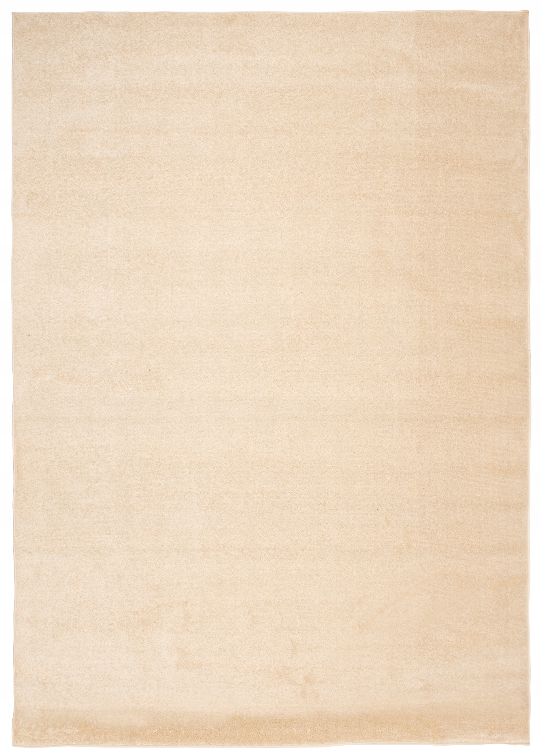 

Dywan Florida 200x290 Jednobarwny Fryz Beżowy