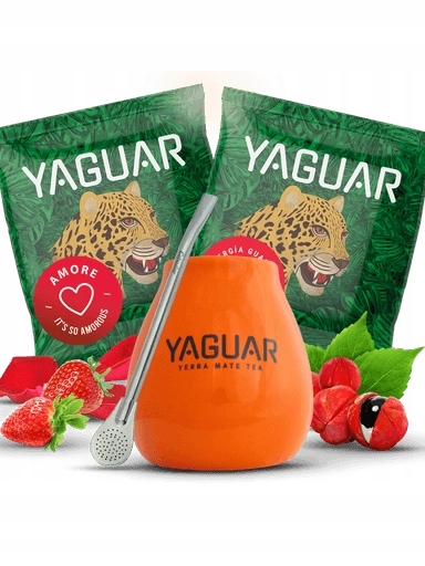 Sada Yerba Mate Matero Bombilla pro start