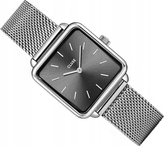Módní hodinky Cluse CW10307 La Tetragone Silver Mesh Čtvercové 29 mm