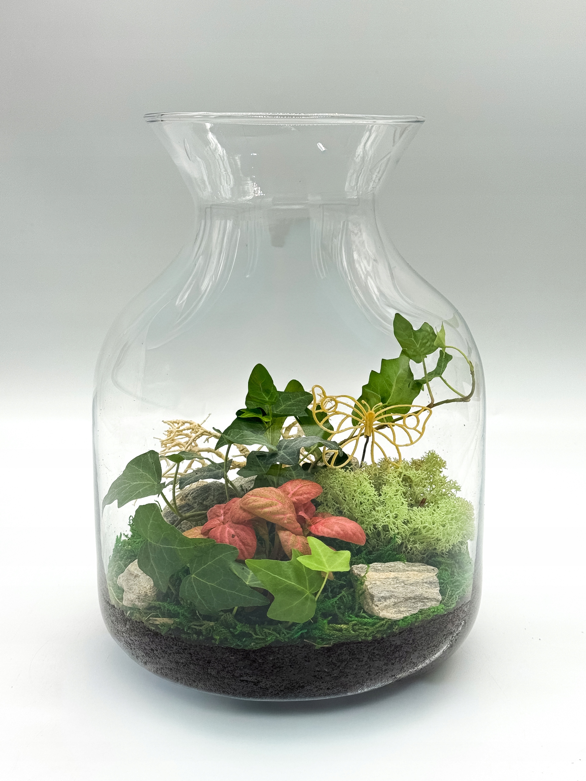 Les ve skle otevřený Lahev s břečťanem a fytonií Hotová kompozice