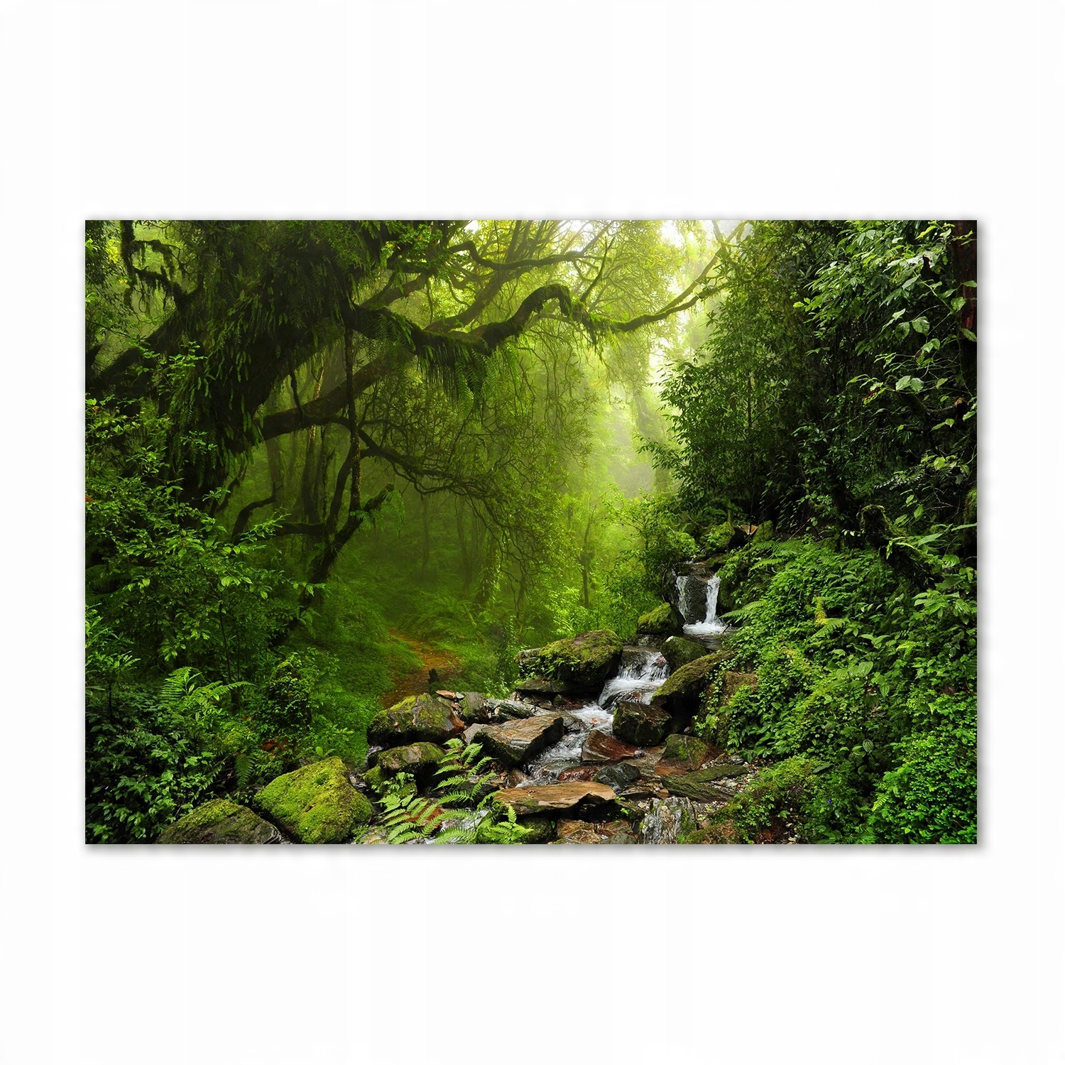 

Foto obraz szklany Dżungla w Nepalu 100x70