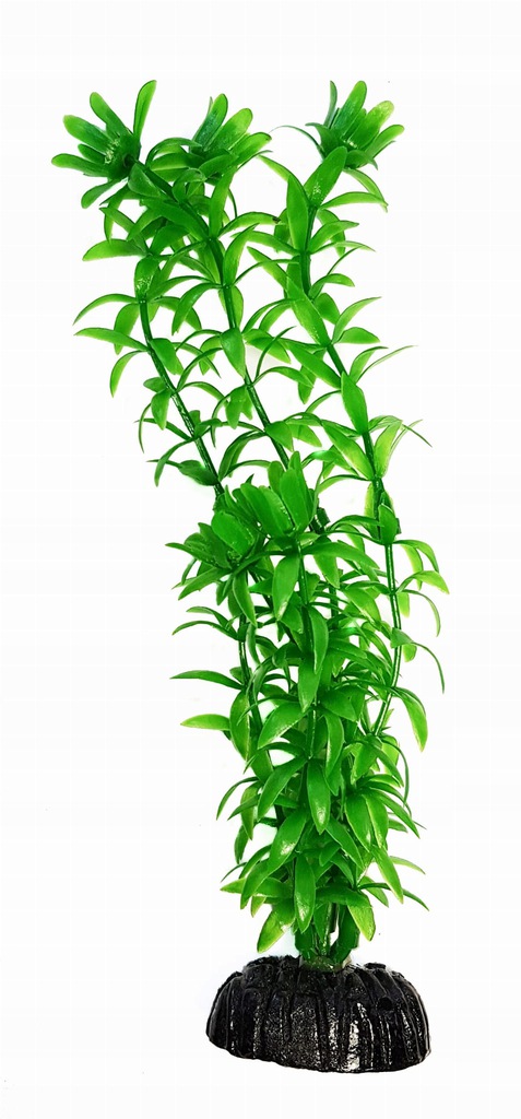 

Sztuczna roślina akwariowa Anacharis 10 cm