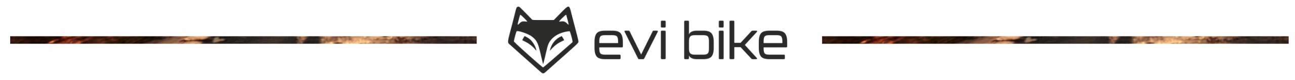 UCHWYT NA ROWER solidny wieszak rowerowy na ściane HAK do 45 KG STOJAK Materiał dominujący metal