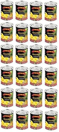 24x 565g Mk Ananas plastry w lekkim syropie Karton