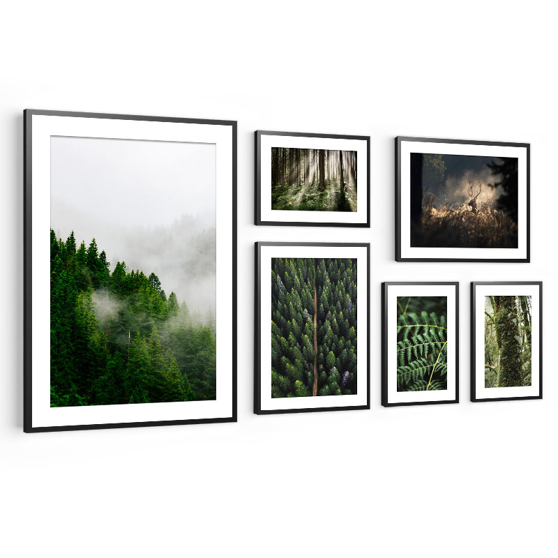 Komplet obrazov Sada 6ks Plagáty v ráme Les zelená do obývačky