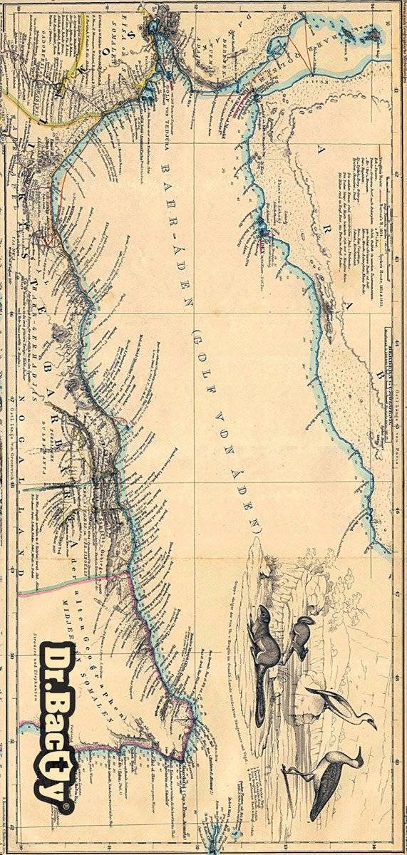 Ręcznik szybkoschnący z polygiene DR BACTY PRINT L