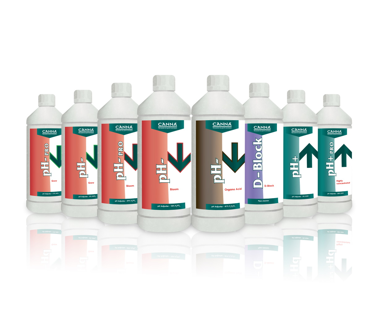 

Canna pH+ Plus 5% 1L Regulator pH Podwyższa pH