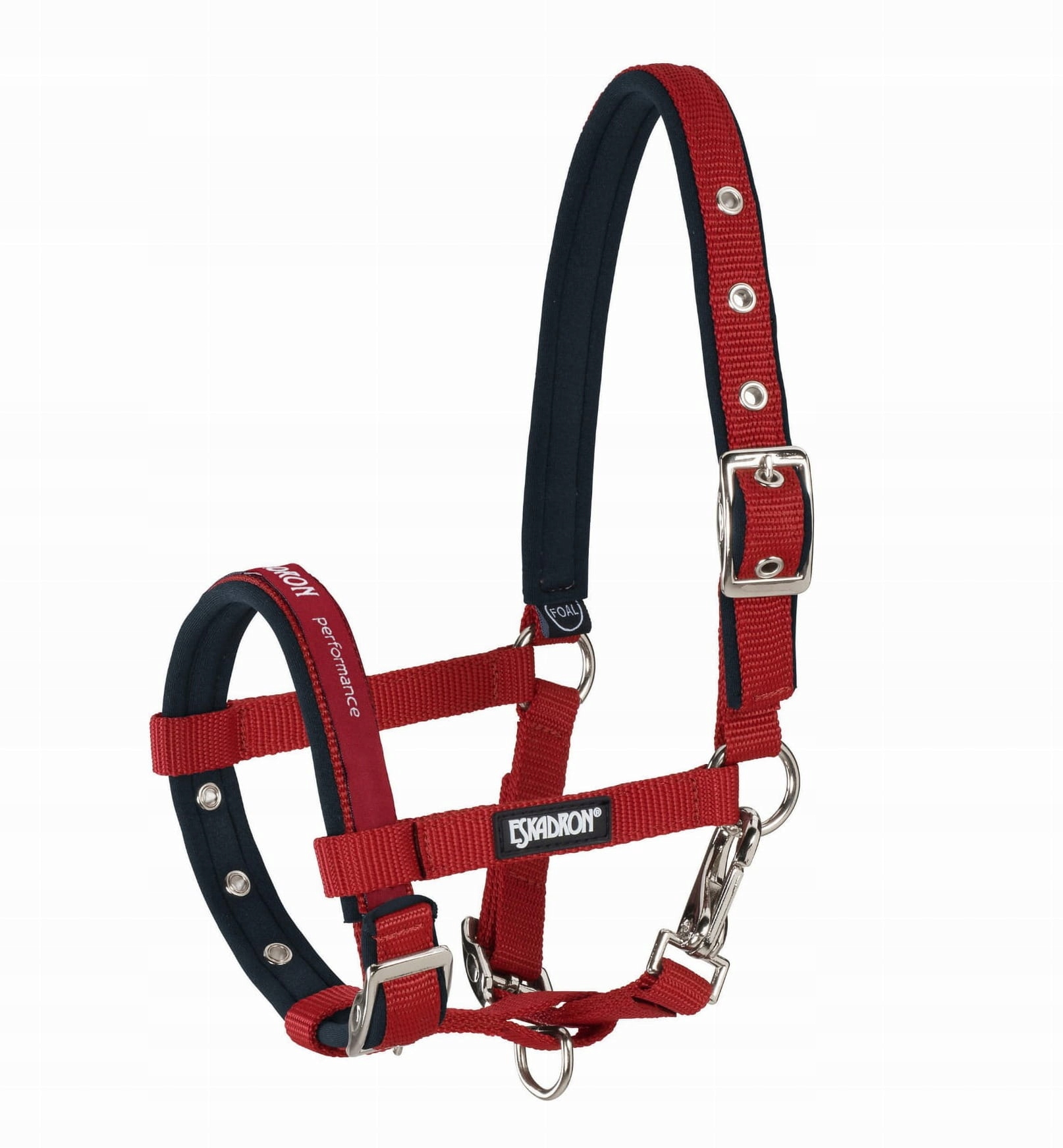 Eskadron kantar Basic dla źrebaków czerwony