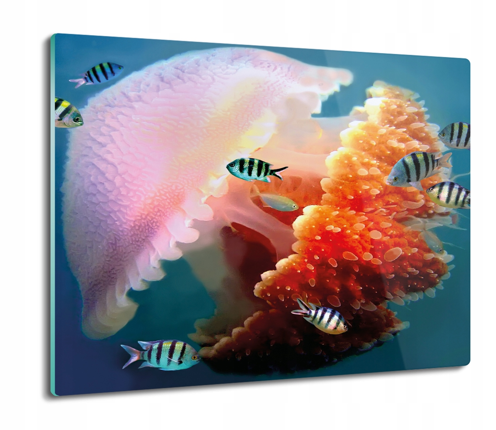 

Meduza ryby 60x52 deska nowoczesna z nadrukiem