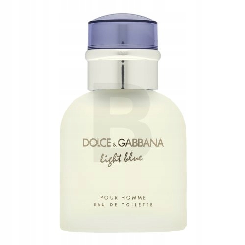 Dolce & Gabbana Light Blue Pour Homme toaletní voda pro muže 40 ml