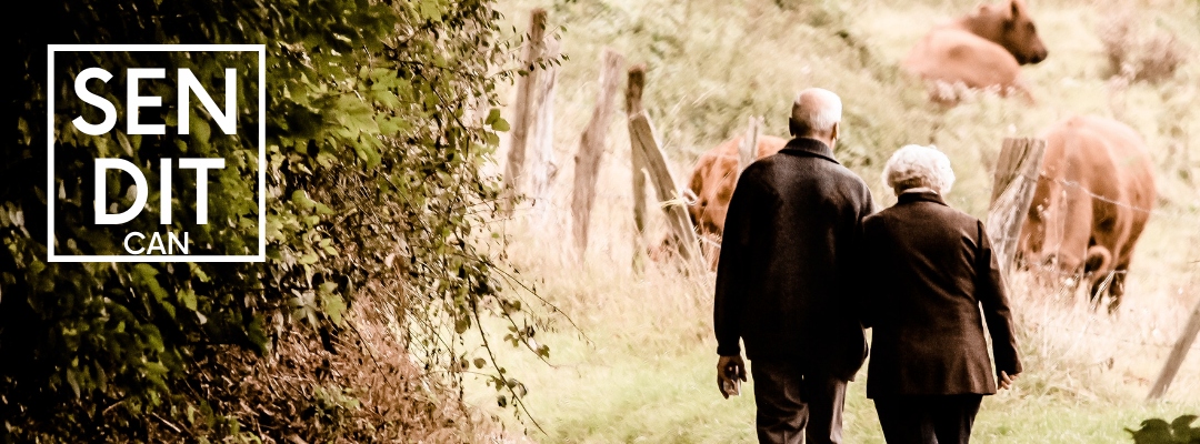 LASKA SKŁADANA INWALIDZKA regulowana seniora Rodzaj spacerowa