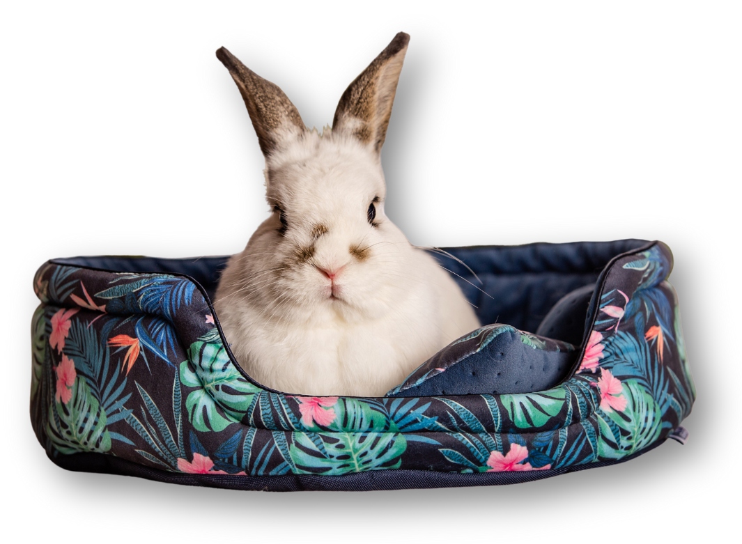 Levně Kraina Tuptusia pelíšek kulatý L pro králíka