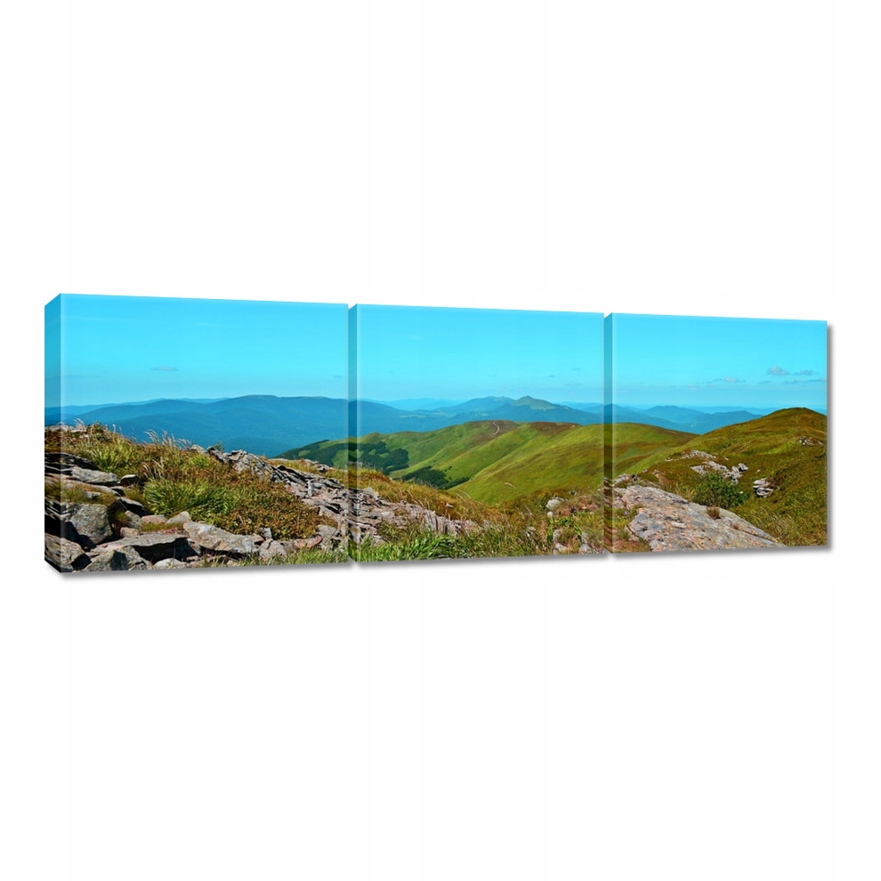 

Obrazy 60x20 Bieszczady