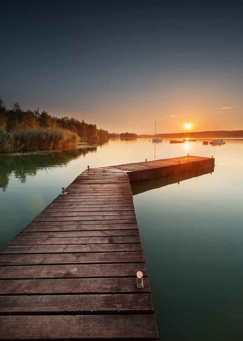 

Jezioro Las Plakat 70x50cm Nowoczesny Do salonu