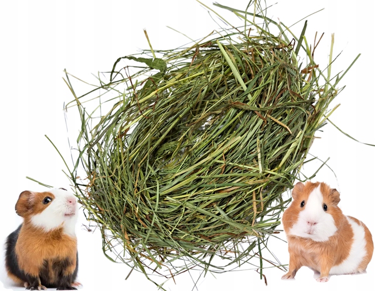 Levně Seno pro těhotná morčata 7 kg nejlepší čerstvé pokosové seno eko