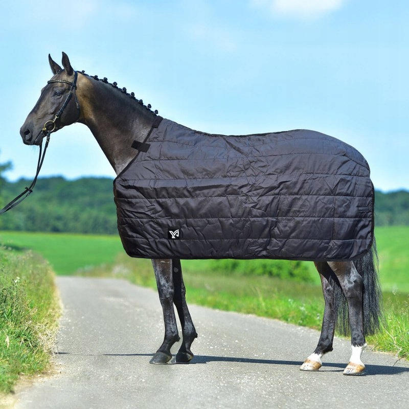 Podpatěnka derky Thermal 200 g 145 cm černá