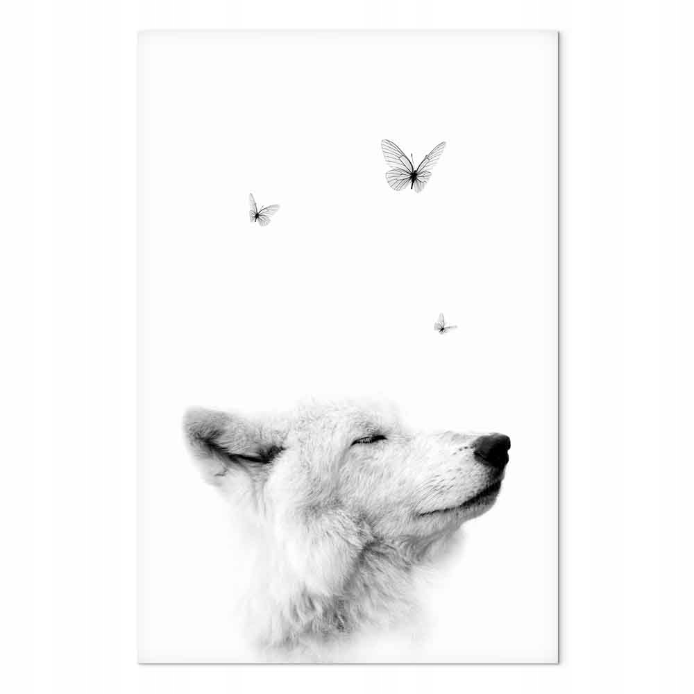 Obraz na plátně canvas Příroda Fauna Bílý vlk Motýli 40x60 cm
