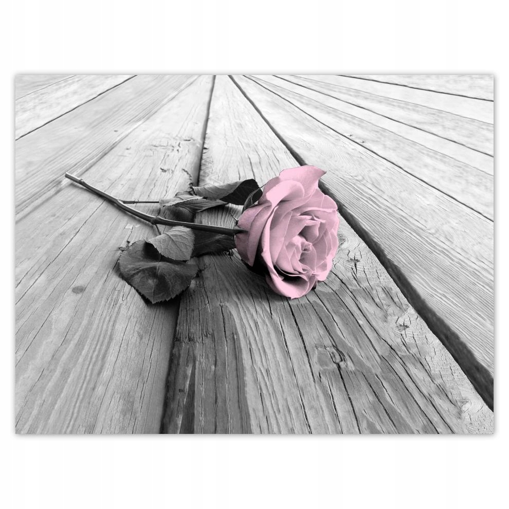 

Plakat 40x30 Pudrowy róż Old pink Rose