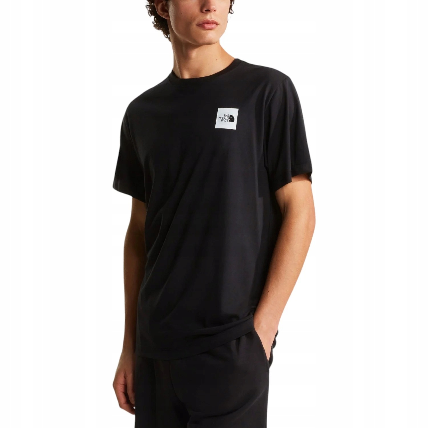 Koszulka męska The North Face Evolution Box Half Dome NF0A8G9C r.L