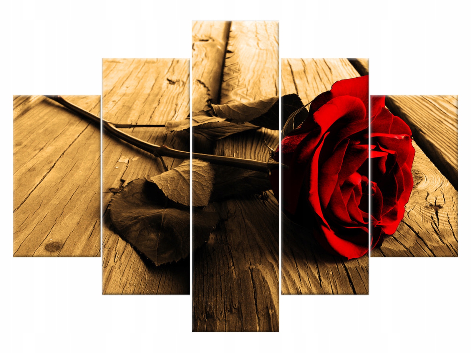 

Obraz Tryptyk Róża w sepii 150x105 Róża 1237A_5H