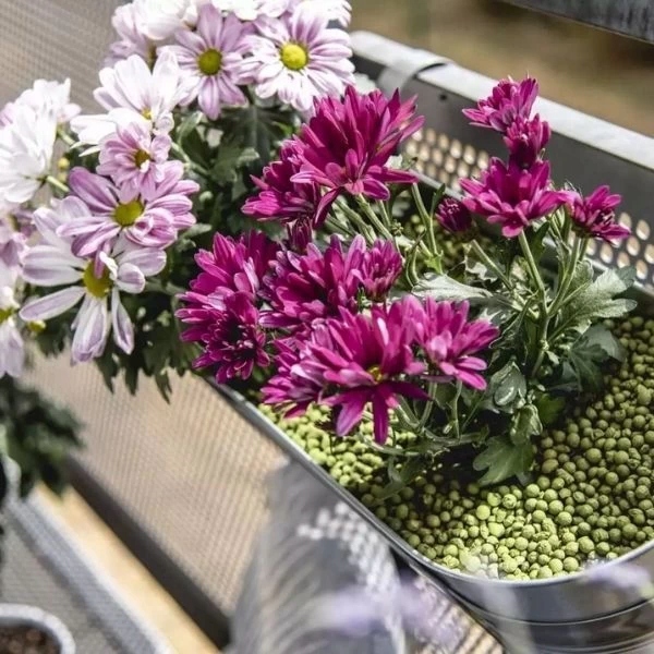 Keramzyt Olive Zielony 8-16 mm wiaderko 5,5L Dek Kolor inny kolor