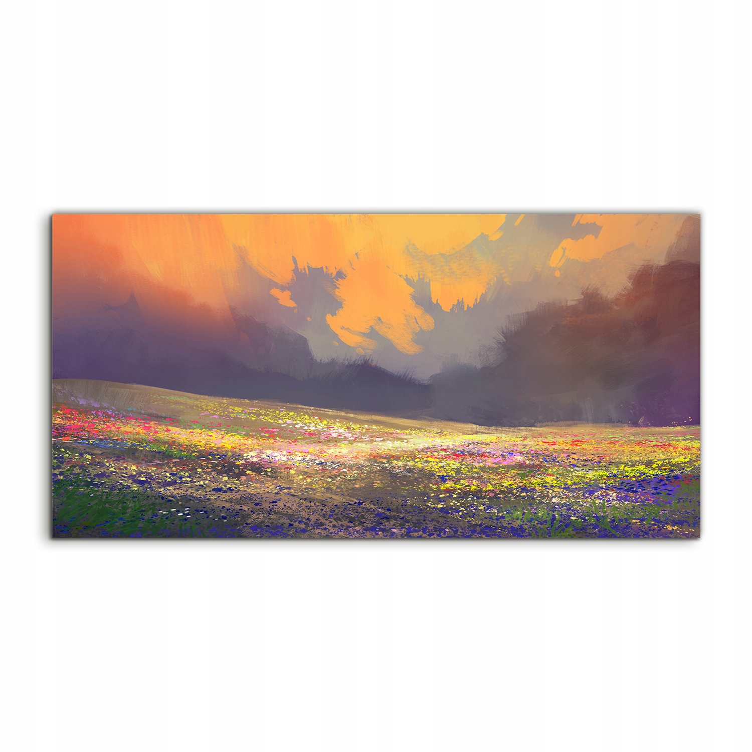 Akrylový fotoobraz 100x50 na stenu Kvety Lúka Nebo