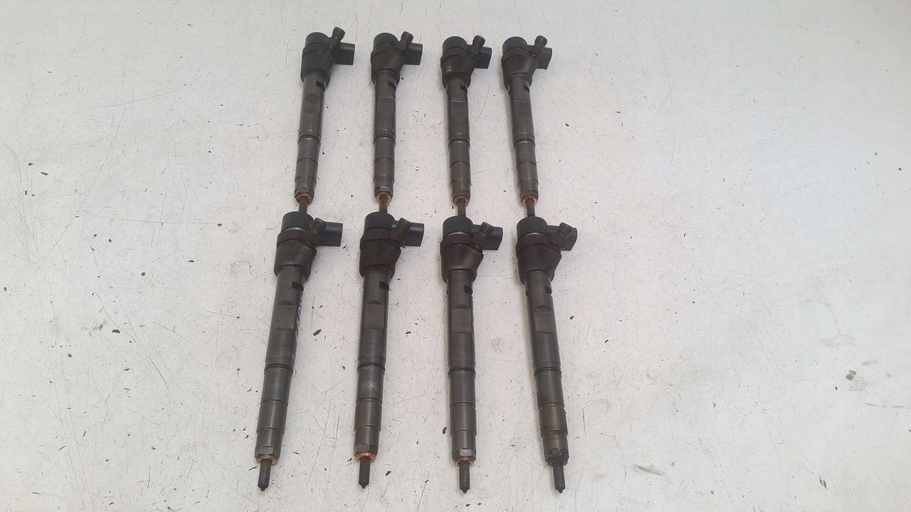 injector Audi A8 D3 4,0 TDI