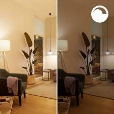 Żarówka inteligentna wifi WiZ DU10 biała ciepła 4,7W Rodzaj gwintu GU10