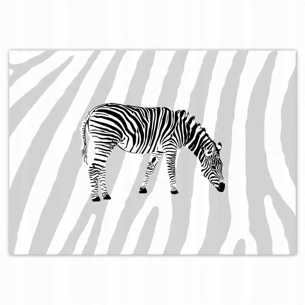 

Plakat 70x50 Zebra Paski
