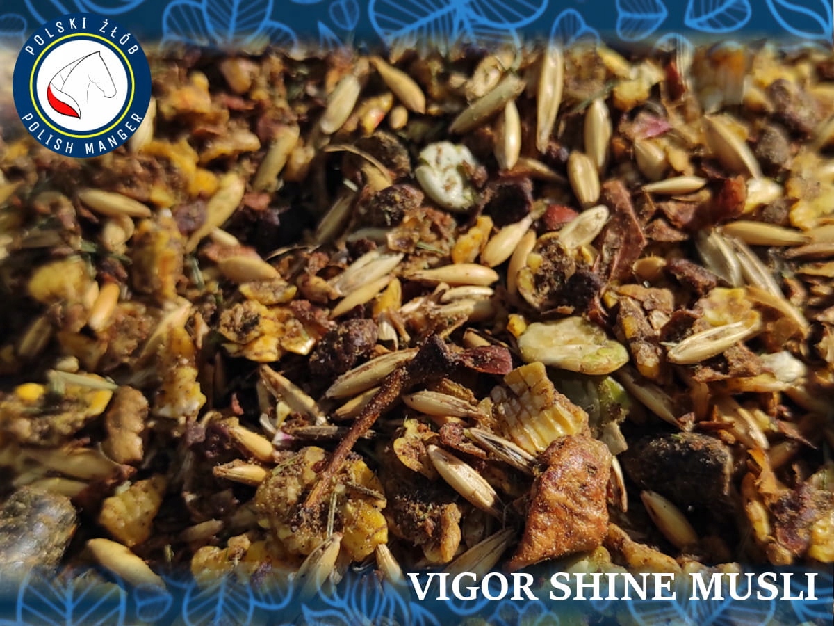 Vigor Shine Musli - na sierść i kopyta 20kg EAN (GTIN) 5904107775326