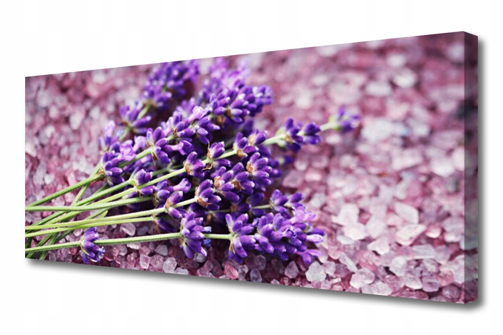 obraz na plátně Květiny Rostlina Příroda 125x50