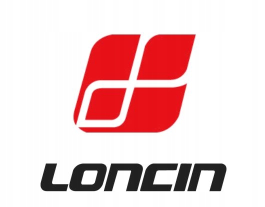 KOMPLET PIERŚCIENI TŁOKA SILNIK LONCIN LC1P65FE 130070257-0001 Typ pierścień