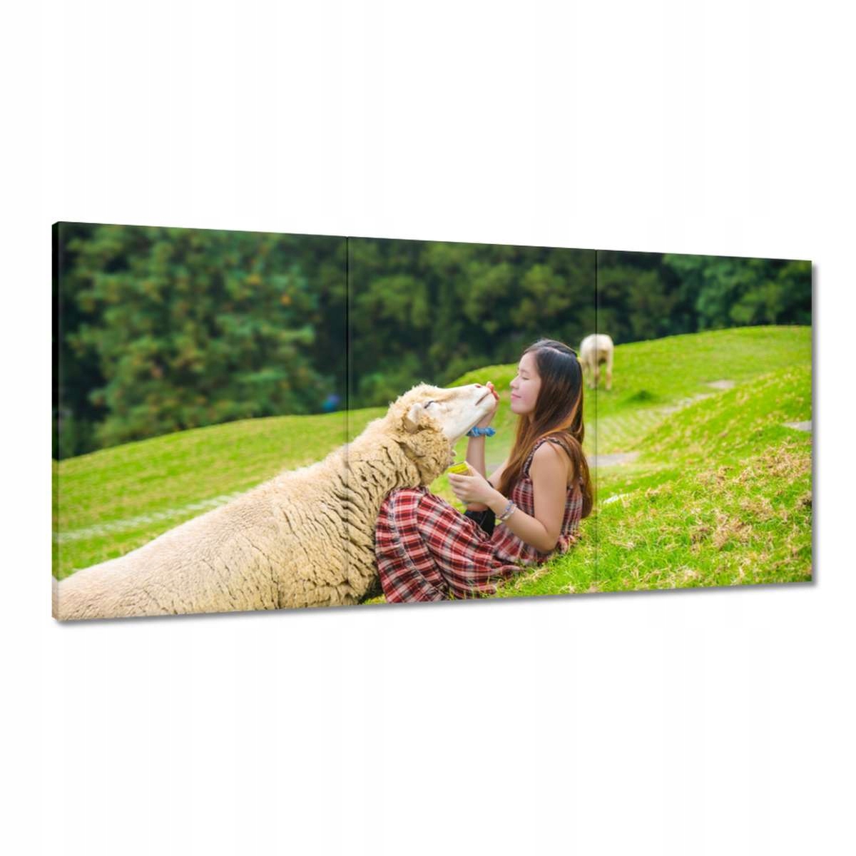 Obrazy 180x90 Moja ovečka Hala Hory