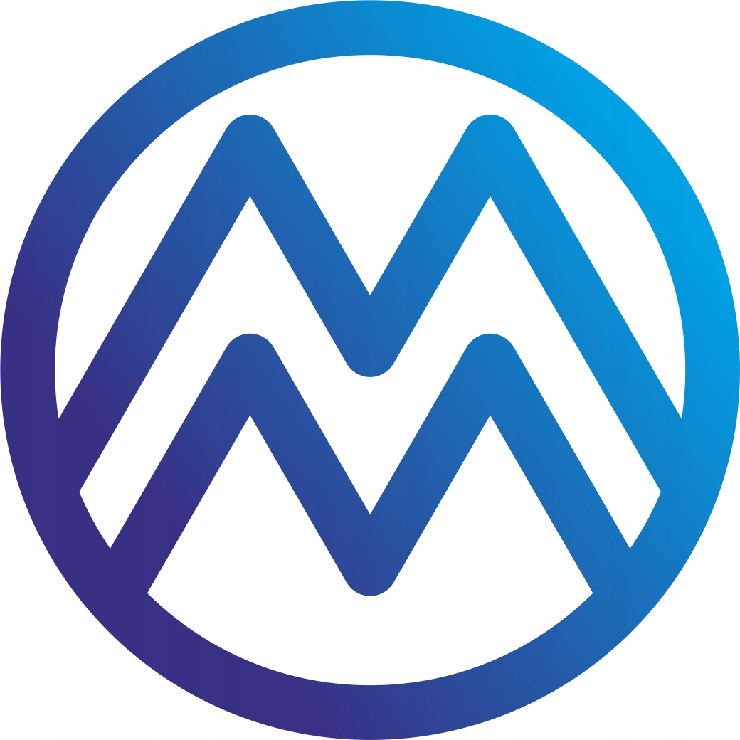 VW T5 2.5 TDI 4x4 4MOTION полный привод