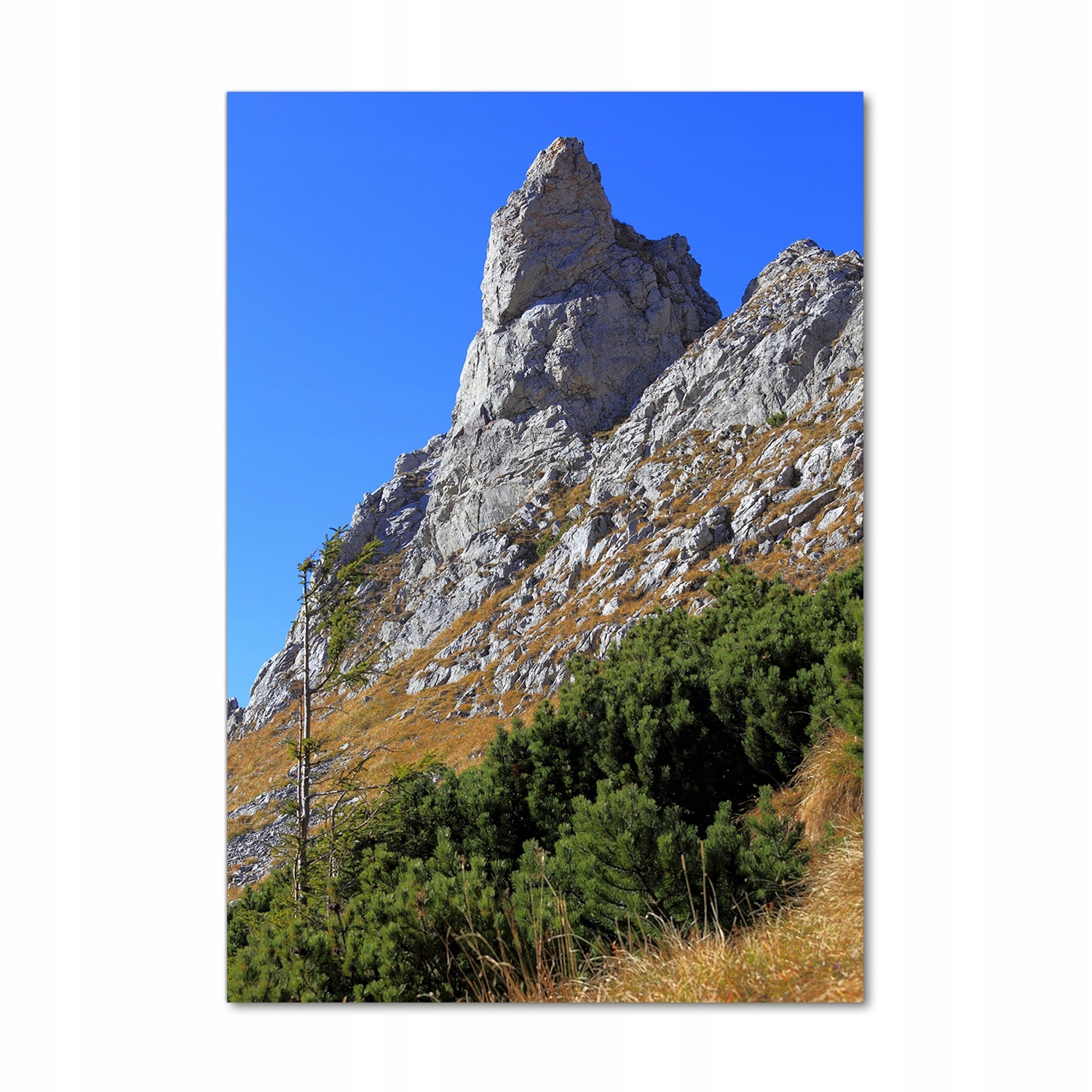 

Foto obraz na szkle mały Giewont Tatry 70x100 cm