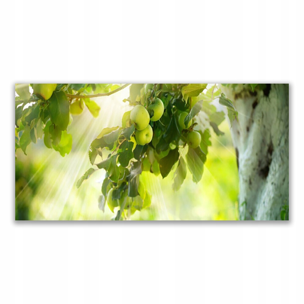 

Obraz z grafiką 120x60 Jabłka Gałąź Drzewo Natura
