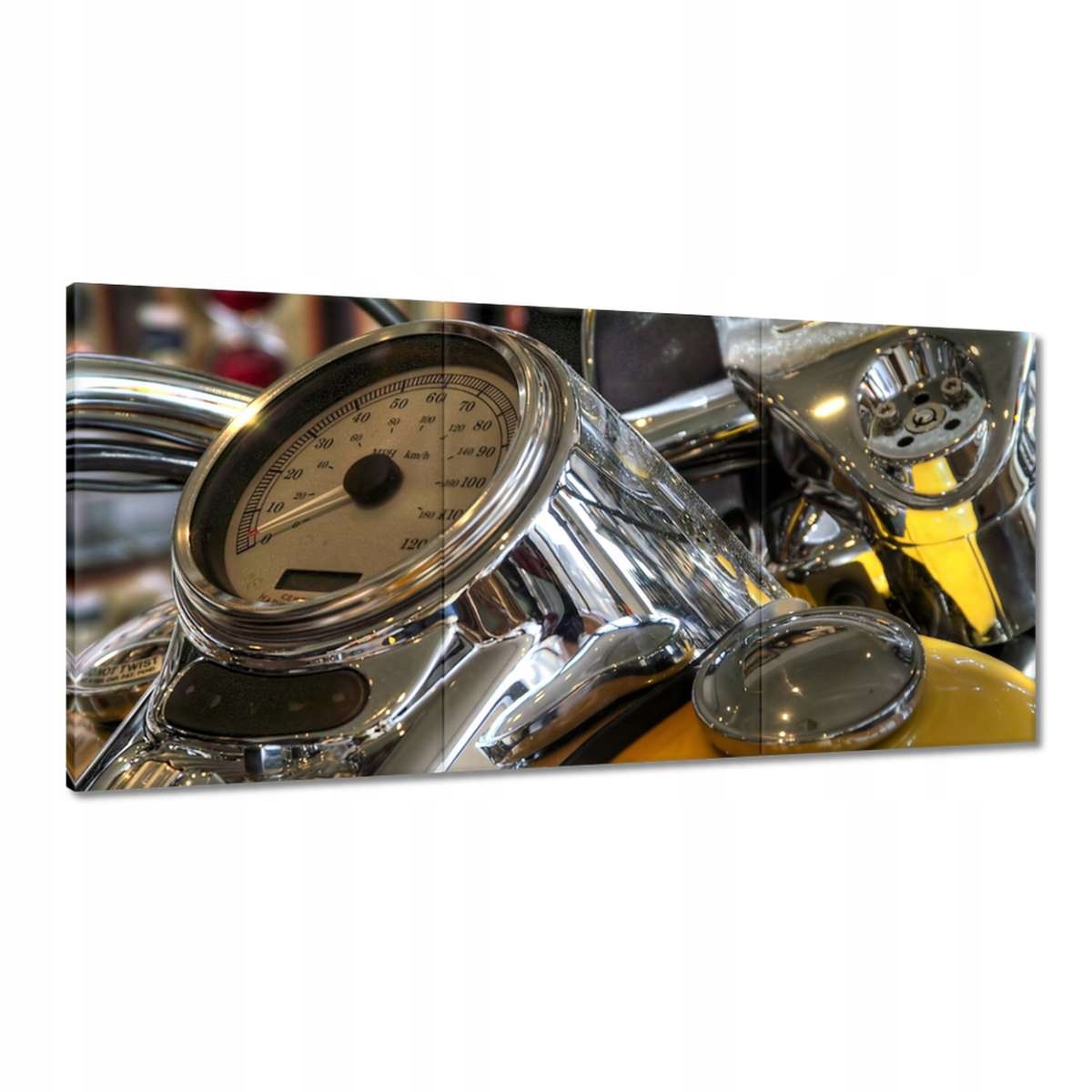 Obrazy 180x90 Harley Davidson Motocykel