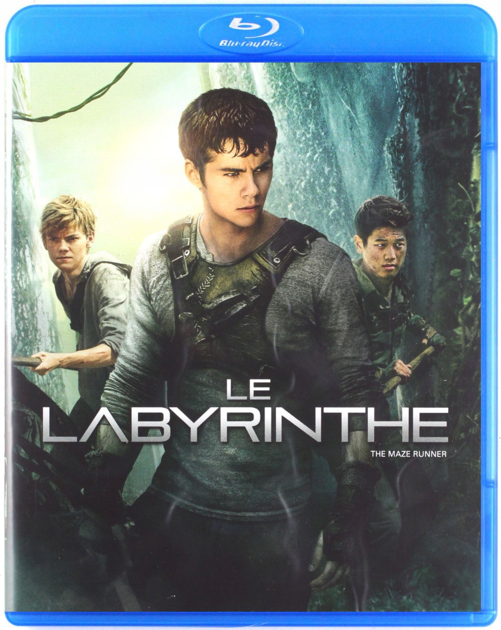 

Więzień Labiryntu (blu-ray) Lektor Pl