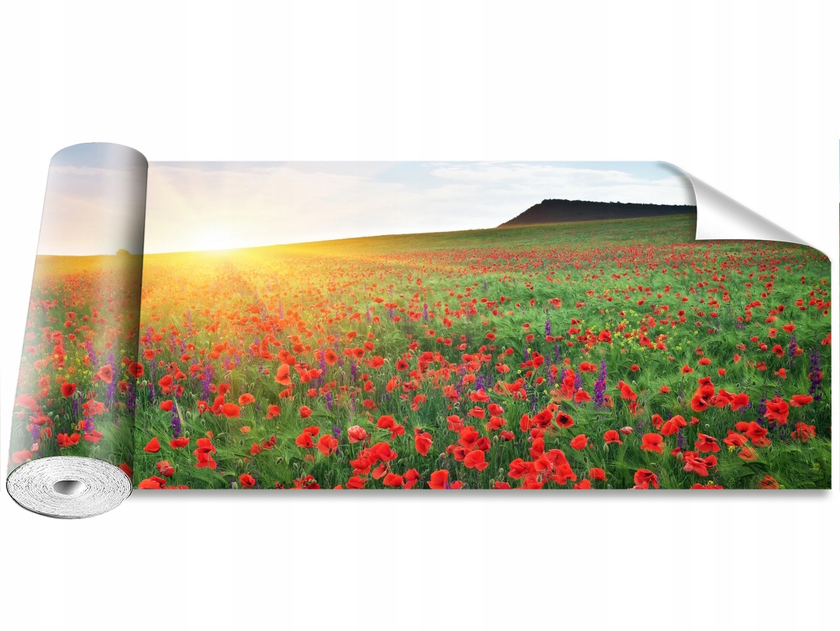 

Fototapeta Samoprzylepna Pole makowe 250x104