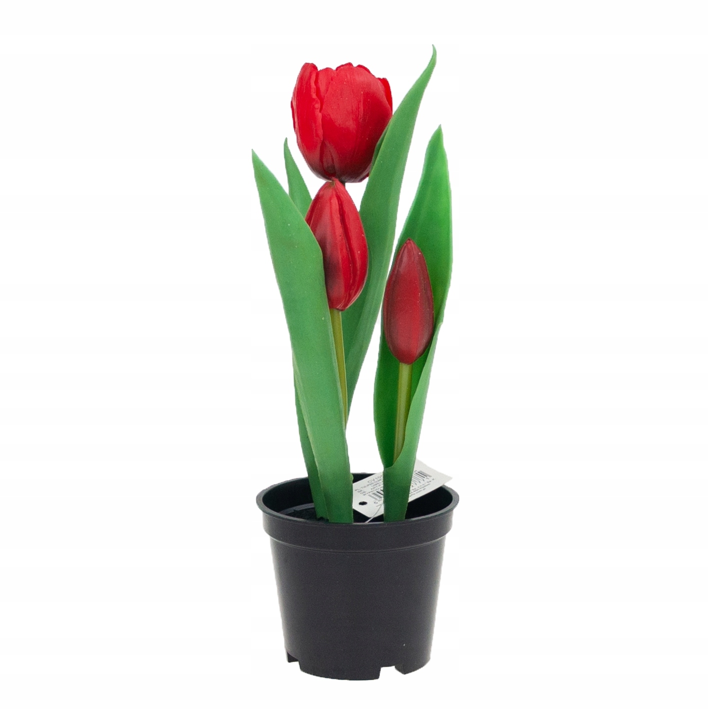 

Tulipany Gumowane Kwiaty Tulipan Jak Żywe Premium