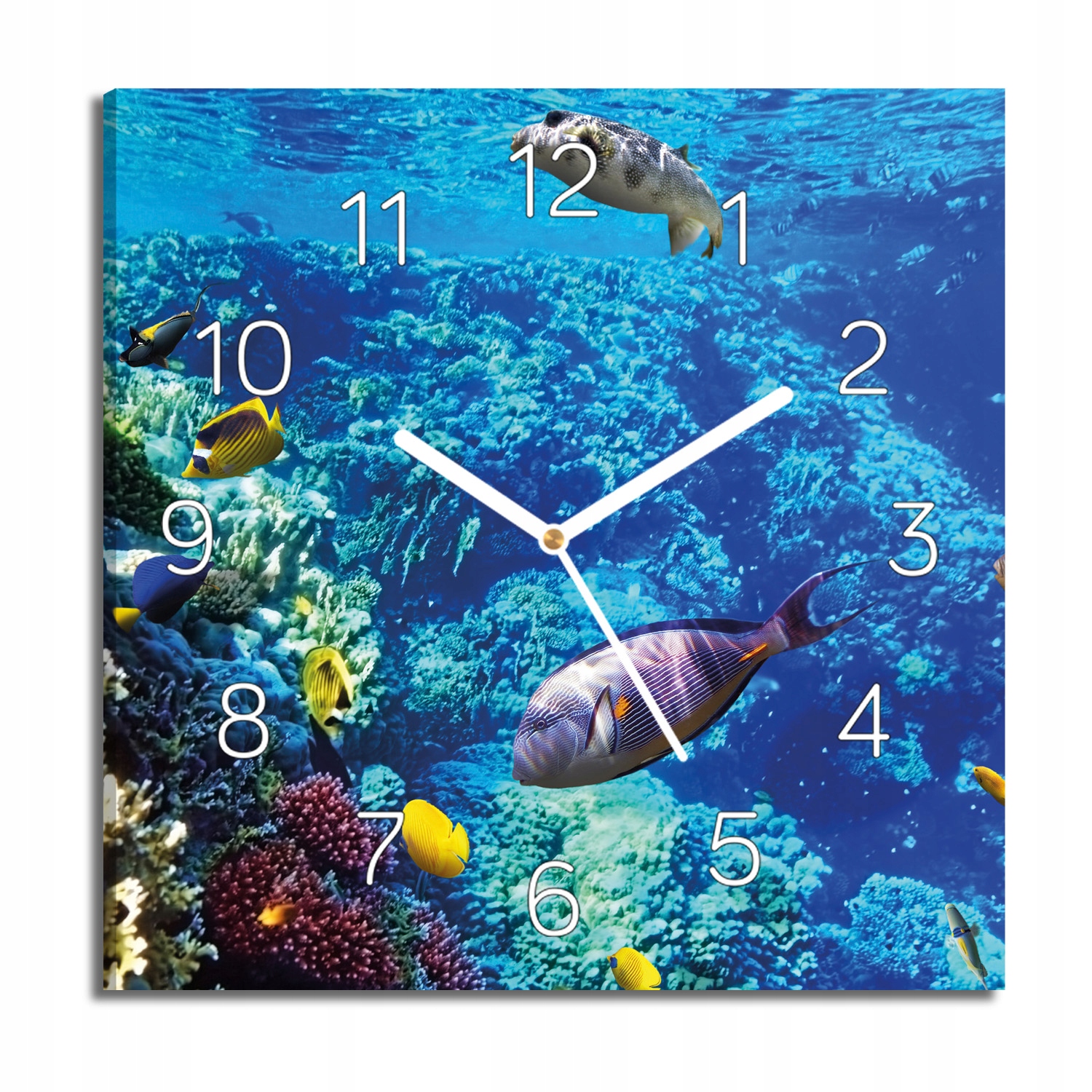 Hodiny canvas Ryby korálový útes s grafikou 30x30