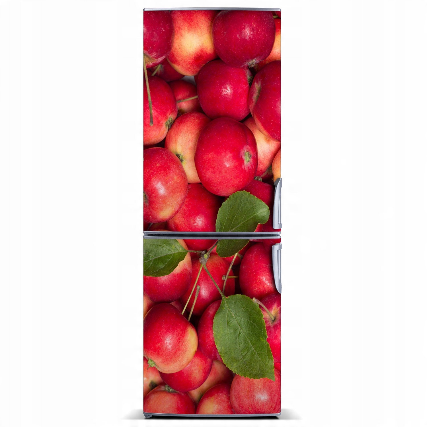 

Magnes na lodówkę Czerwone jabłka 60x180