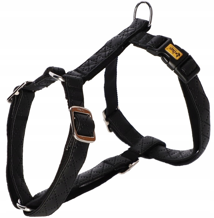 

Dingo Szelki Guard Terra Carbon S