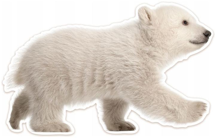 Плюшевые наклейка для детей МЕДВЕЖОНОК 96x60cm