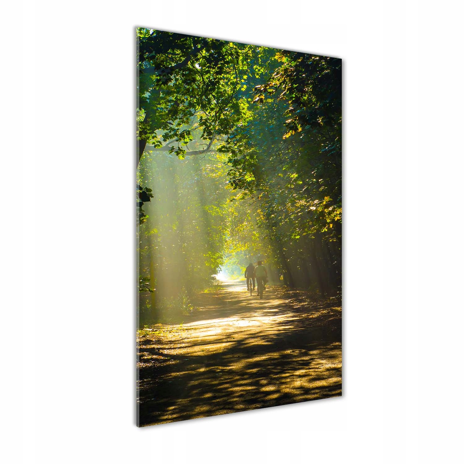 Fotoobraz sklo Cesta v lese 70x140 cm